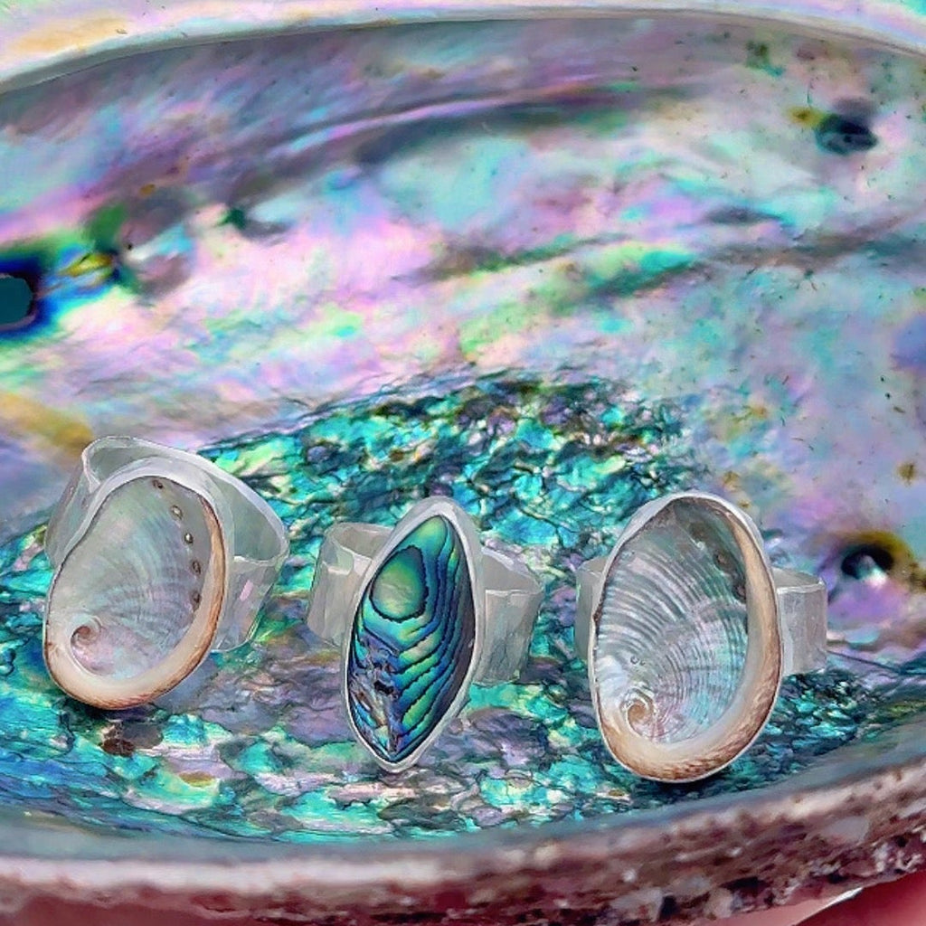 The Avalon, Abalone - Size 6