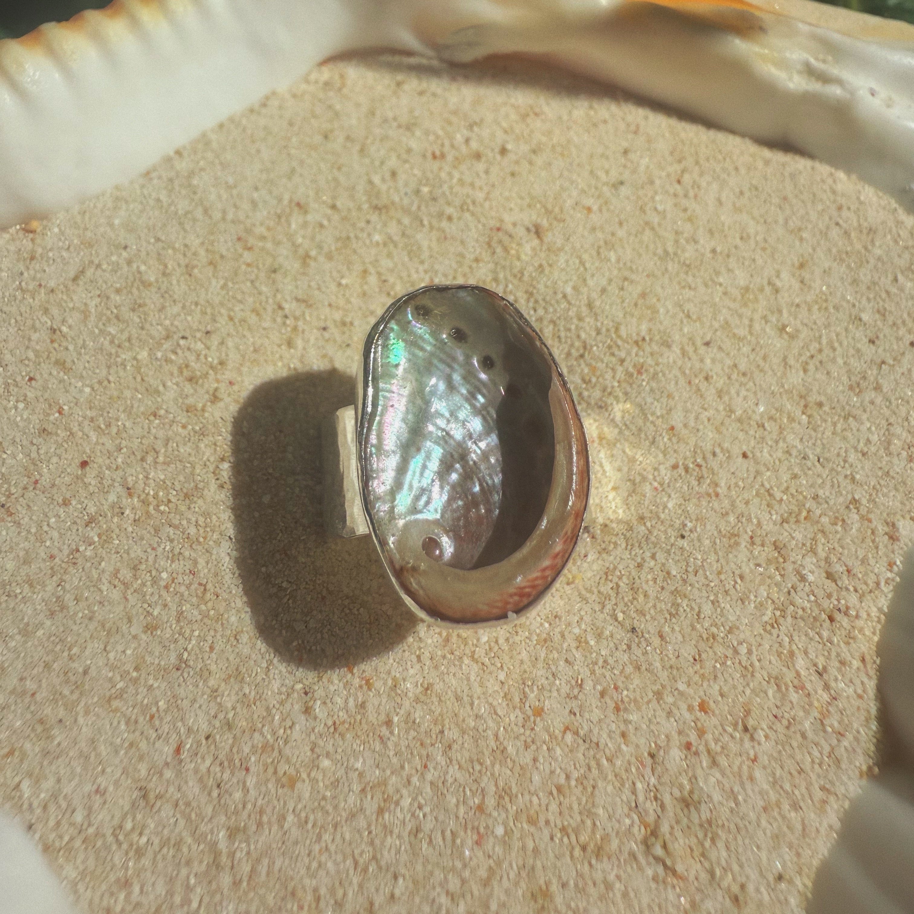 The Isthmus, Mini Abalone - Size 8