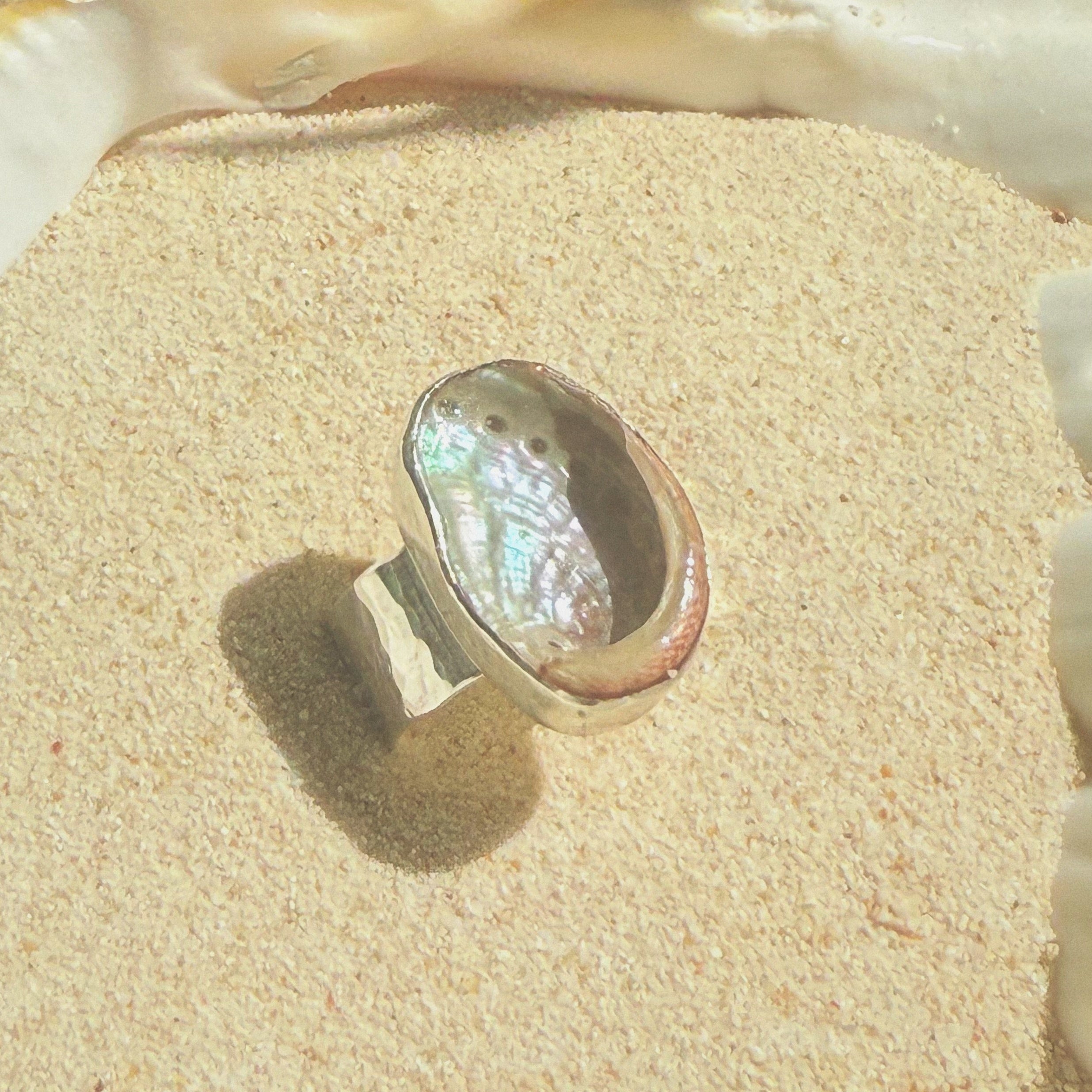 The Isthmus, Mini Abalone - Size 8