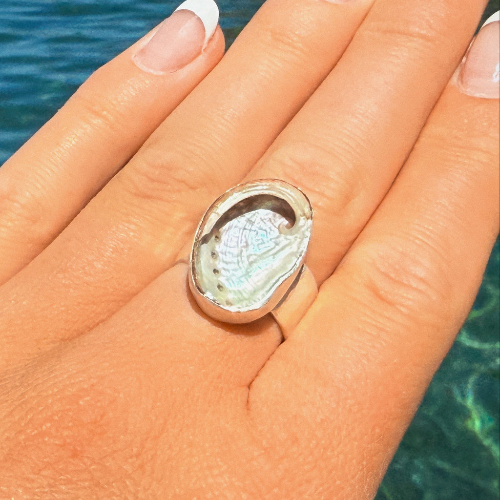 The Isthmus, Mini Abalone - Size 8