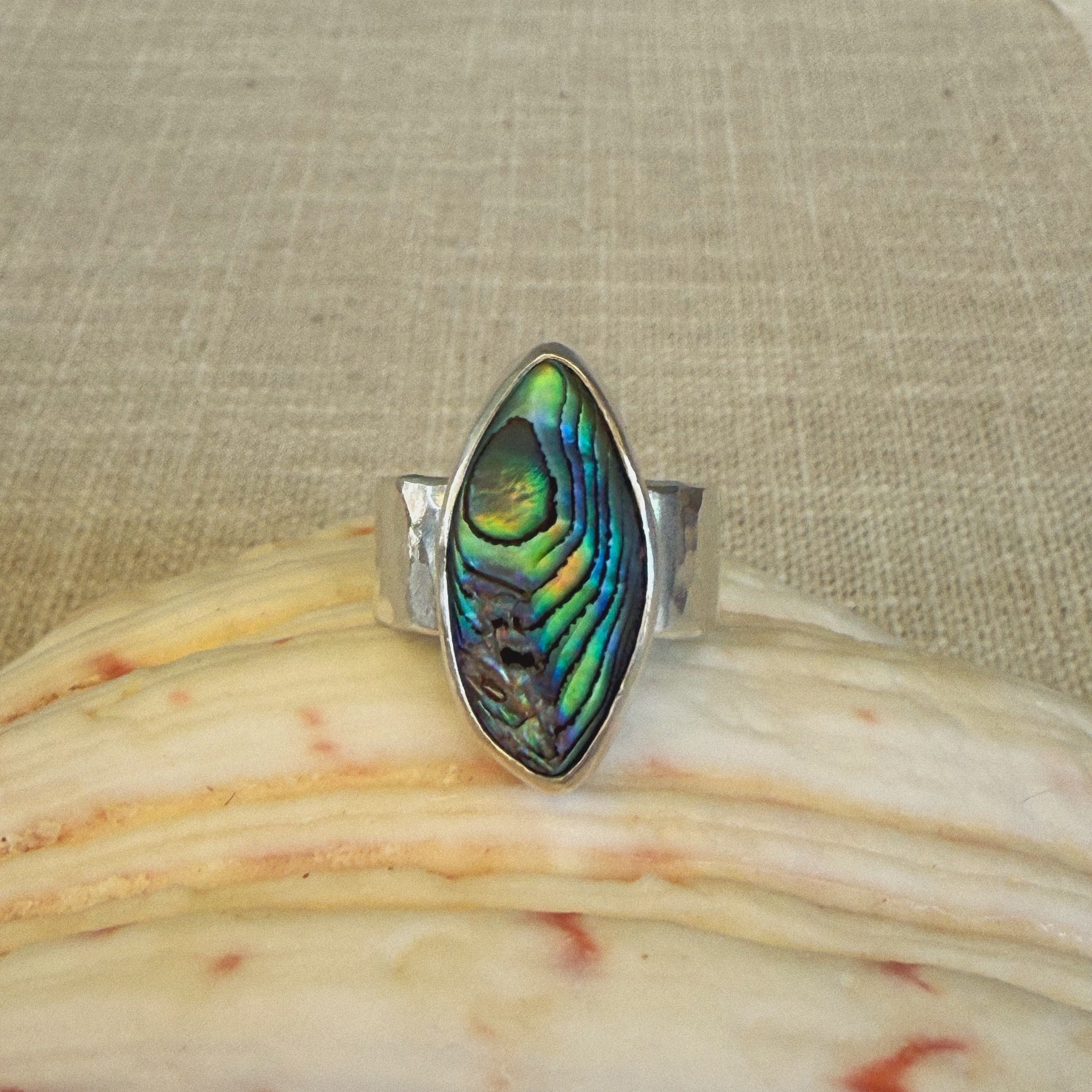 The Avalon, Abalone - Size 6