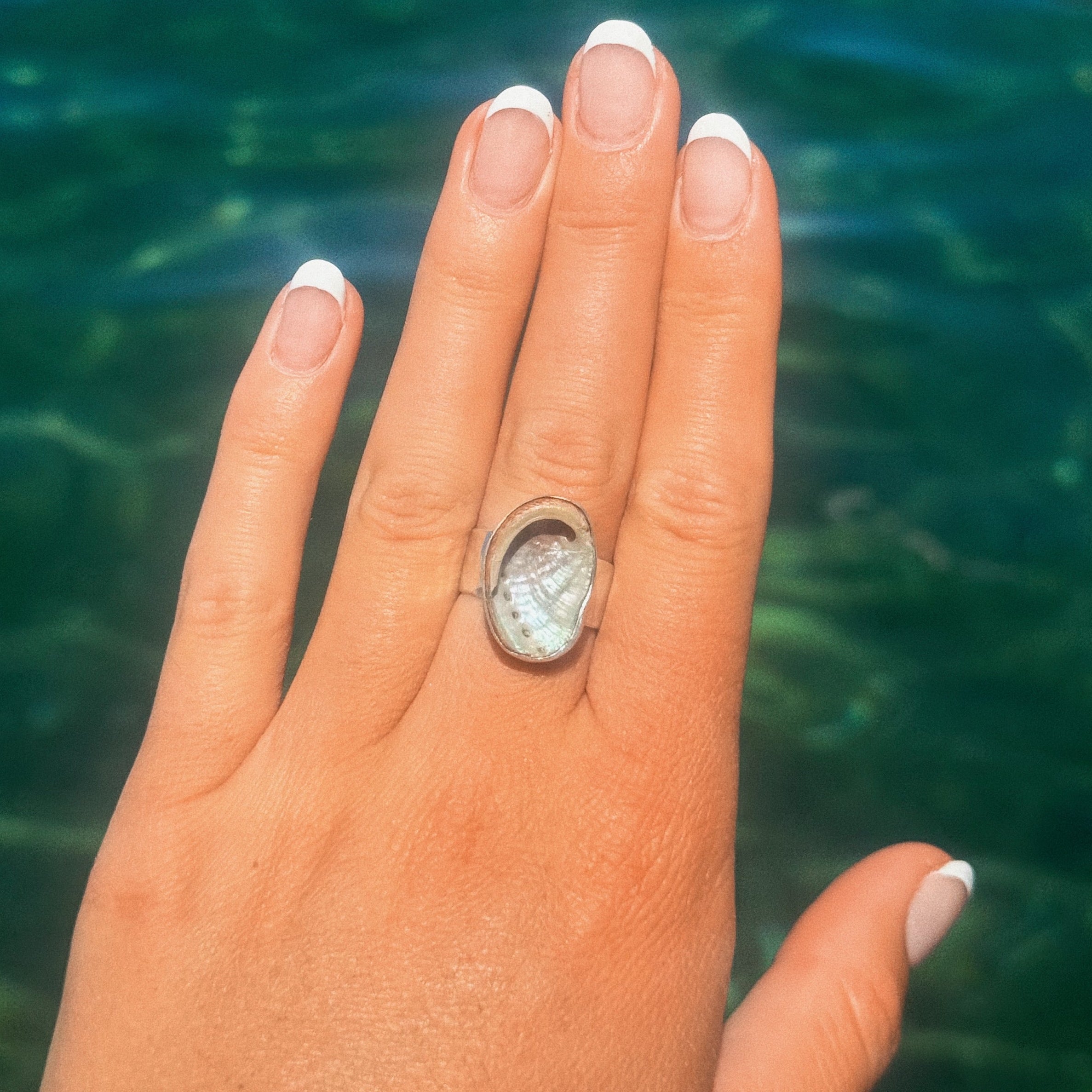 The Isthmus, Mini Abalone - Size 8