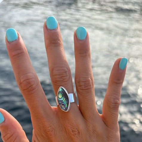 The Avalon, Abalone - Size 6