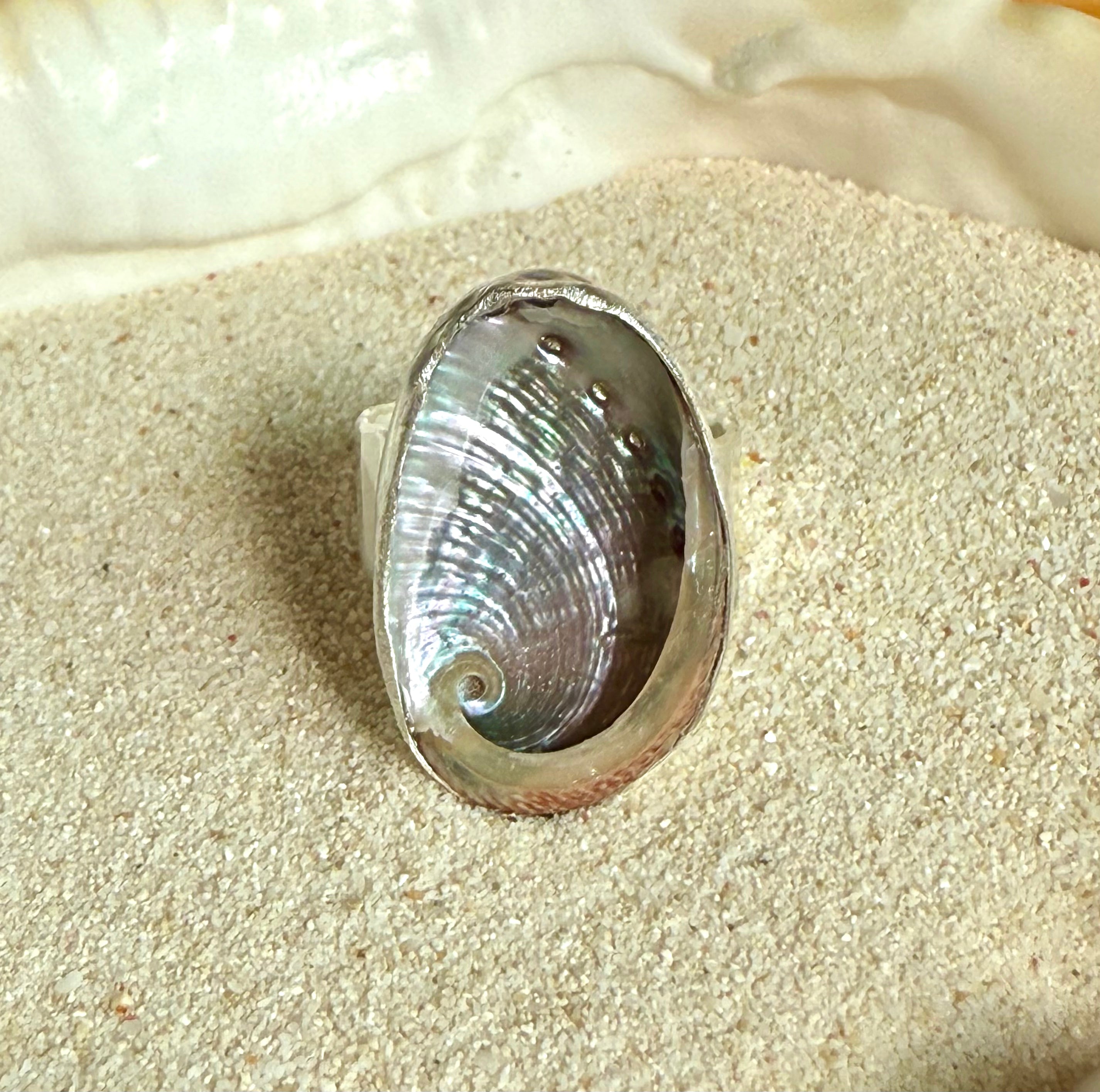 The Isthmus, Mini Abalone - Size 6.5