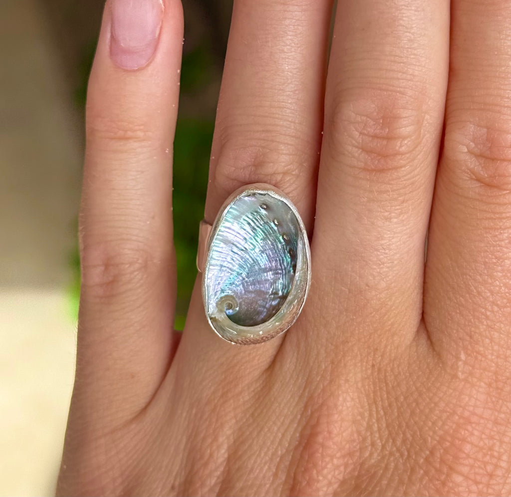 The Isthmus, Mini Abalone - Size 6.5