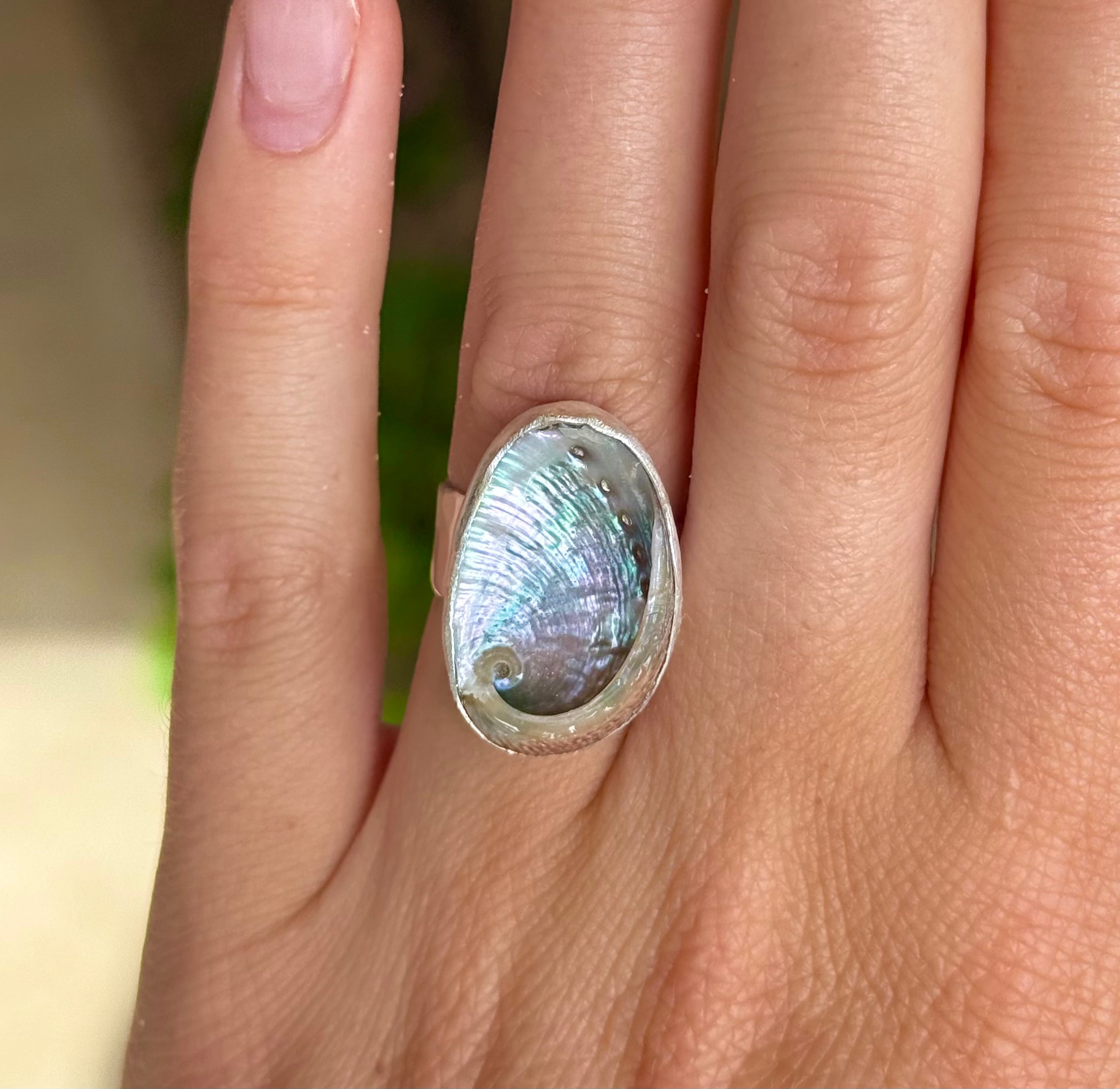 The Isthmus, Mini Abalone - Size 6.5