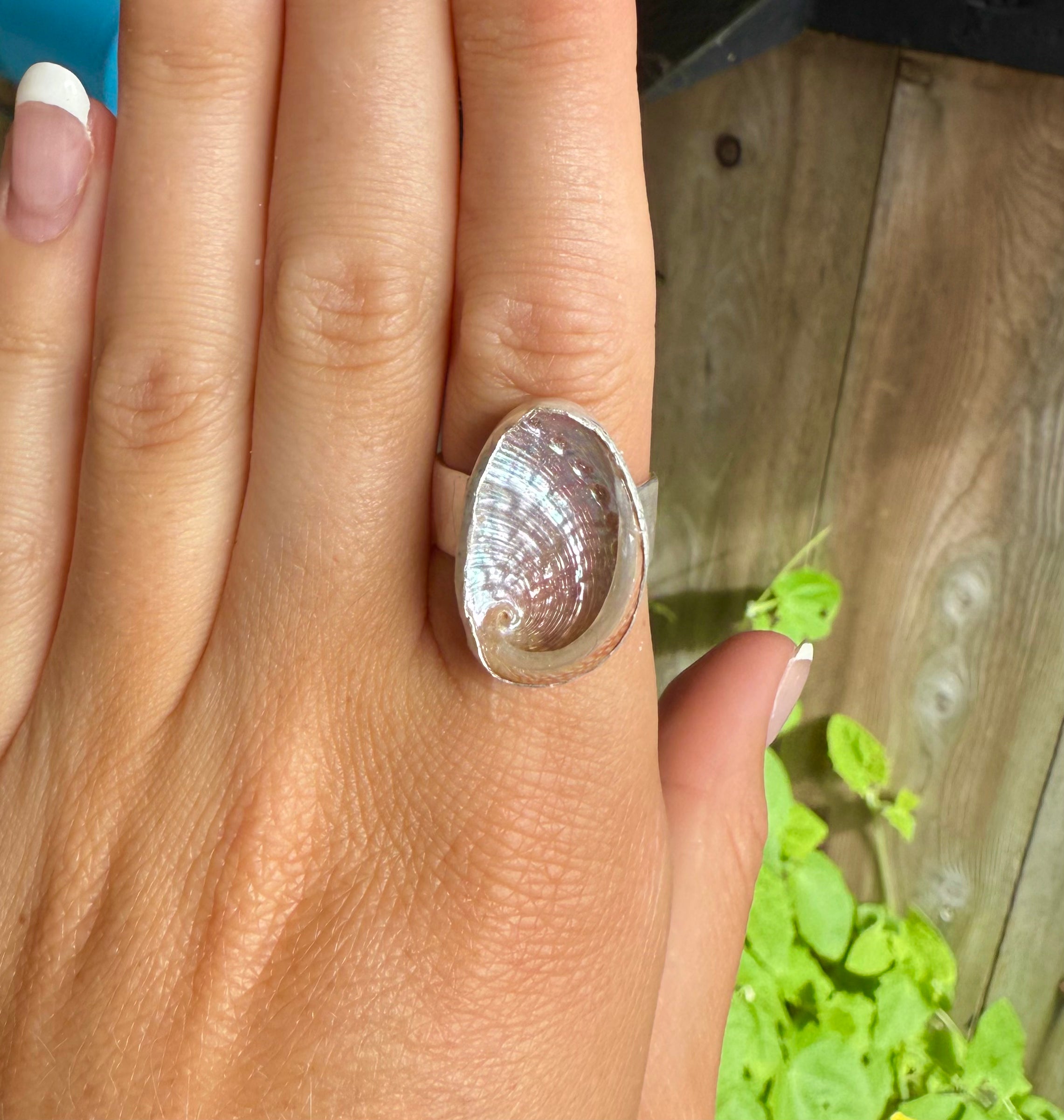 The Isthmus, Mini Abalone - Size 9
