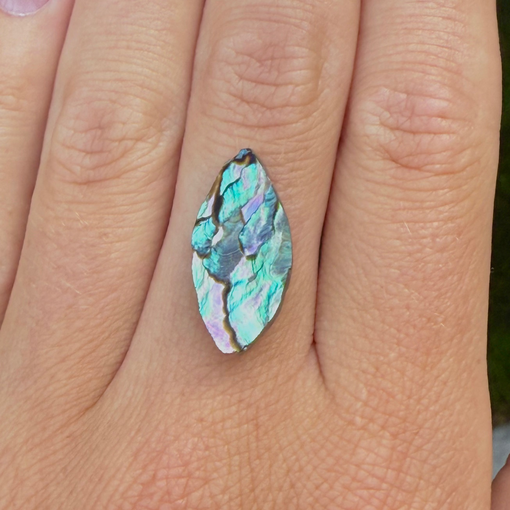 The Avalon, Abalone - MADE TO ORDER FOR YOU'RE SIZE