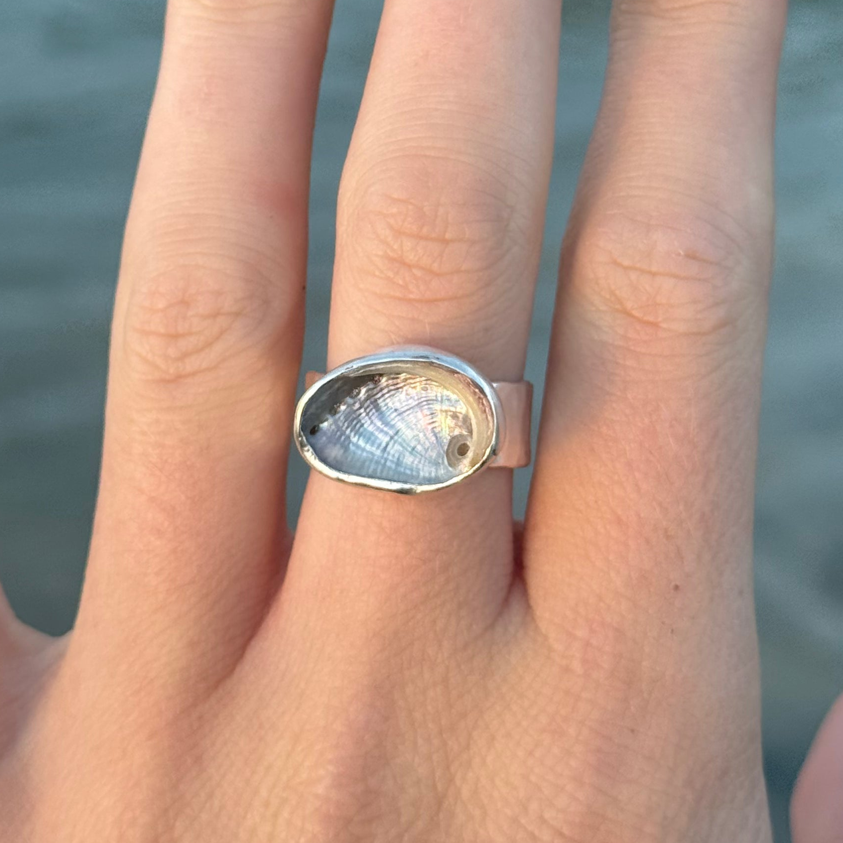 The Isthmus Mini Abalone, Size 8