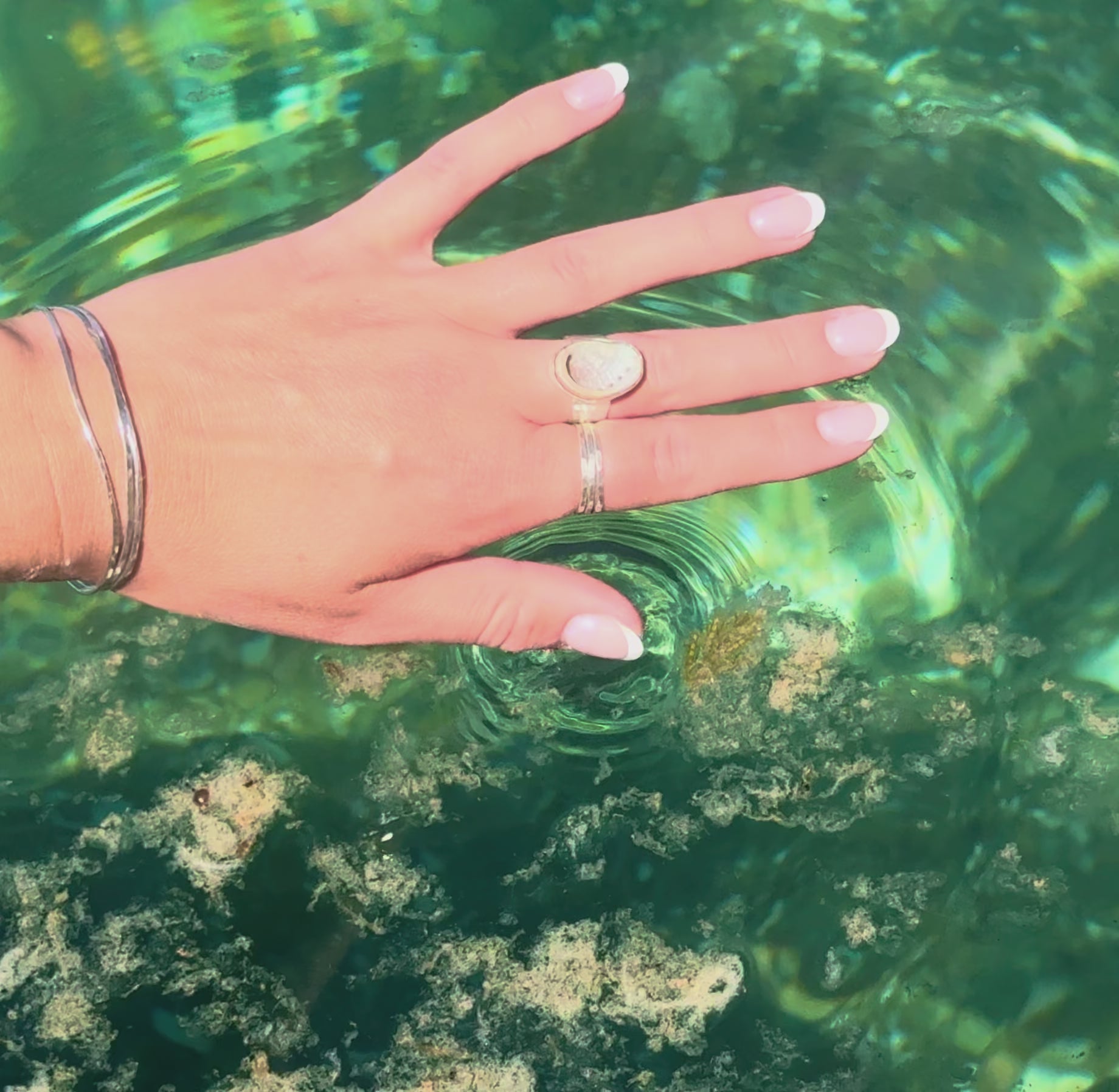The Isthmus, Mini Abalone - Size 8